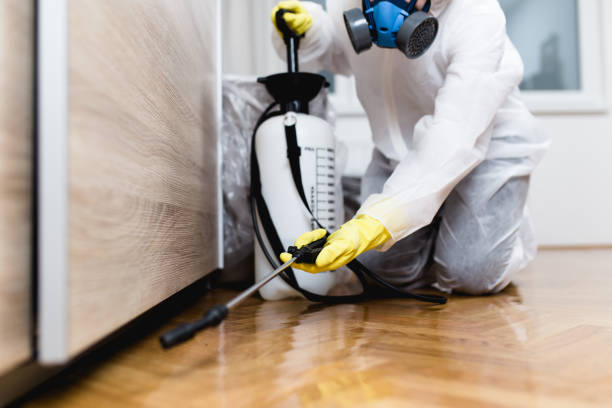 Best Pest Control Treatment  in Rochester, IN