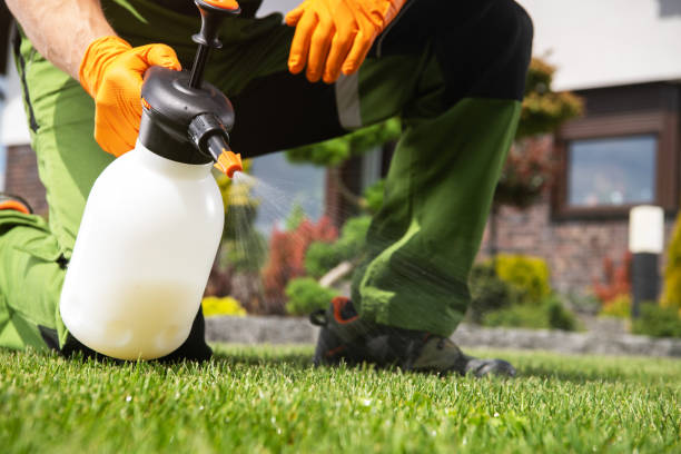 Best Flea Control Services  in Rochester, IN