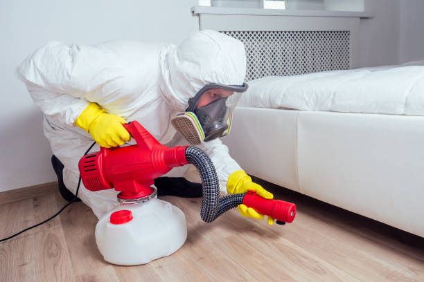 Flea Control Services in Rochester, IN